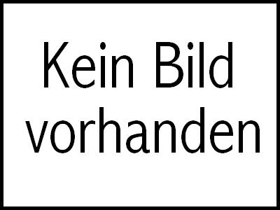 Einachser Hochlader ungebremst mit 10 Zoll Bereifung, M-AA 1870