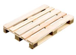 Alois Auer: euro-neu.jpg